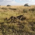 Mary Talbott - @mary.talbott.144 - Instagram