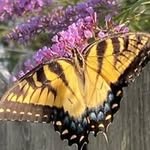 Mary Talbott Ammend - @ammendmary - Instagram