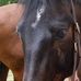 Mary Tarallo - Facebook