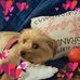 Mary Tarallo - Facebook