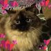 Mary Tardy - Facebook