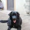 maryontardy - @maryontardy - TikTok