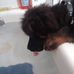Mary E. Tache - Facebook