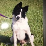 Mary Taschenberger - @marytaschenberger - Instagram