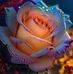 Mary Tedrick - Facebook