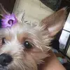 marytedrick139 - @marytedrick139 - TikTok