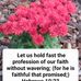 Mary Ward Teeters - Facebook