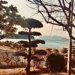 Mary Duncan Teske - @freerangeyoga - Instagram