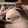 marytesta - @marytesta - TikTok