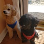 mary thibault - @thibaultmary5577 - Instagram