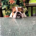Mary Thou - @marythou1577 - Instagram