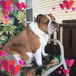 Mary Thou - @thoumary - Instagram