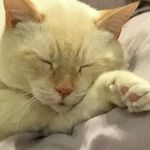 Mary Whitaker Thweatt - @maryt225 - Instagram
