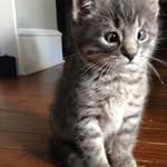 marytillet - @marytillet - Instagram