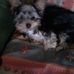 Mary Timlin - Facebook