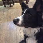 Mary - @mary.tindall1 - Instagram