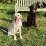Mary Tindale - @mary.tindale1 - Instagram