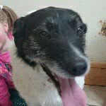 maisie - @marytipp - Instagram