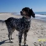 Mary Tippett - @mary_tippett - Instagram