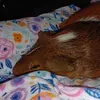 Mary Tipps - @mary.tipps - TikTok