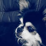 Shannon - @marytippymarie16 - Instagram