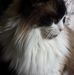 Mary Tipper - Facebook