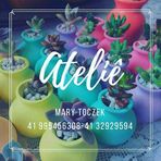 Mary Toczek - Facebook