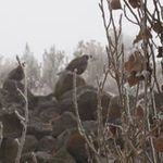Mary Toepfer - @lonegrandma - Instagram