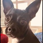 Mary Toepfer - @toepdizzle - Instagram