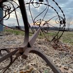 Mary Toepfer Grogman - @marygrogman - Instagram