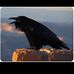 Marie Toothman - Facebook