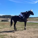 Mary Frances Torbert - @mft.equestrian - Instagram