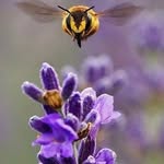 Mary Towles - @newknee60 - Instagram