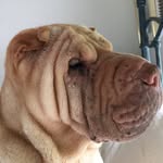 Mary Travers - @marytraversartist - Instagram