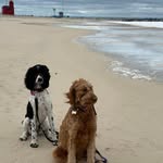 Mike Mary Tremain - @mikemarytremain - Instagram