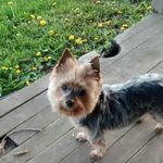 Mary Trepanier - @mary_trepanier - Instagram