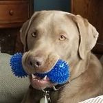 Mary Trexler - @mary.trexler - Instagram