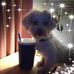 Mary Trexler - Facebook