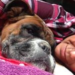 Mary Ann Trigg - @maryanntrigg - Instagram