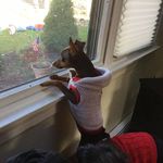 Mary Jane Triolo Andersen - @mary.j.andersen.5 - Instagram