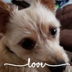 Mary Trout - @mary.trout.5621 - Instagram