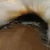 Mary Trout - @maryt.96 - TikTok