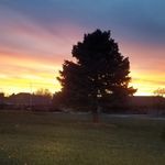 Mary Trumble - @mtrumble1154 - Instagram