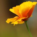Mary Trumble - @mary_trumble - Instagram