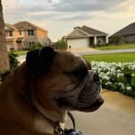 Mary Jane Trussell - @mjtrussell80 - Instagram