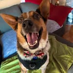 Mary Tutor - @tutor57 - Instagram
