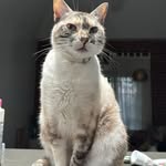 Mary - @mary_tuttle12 - Instagram