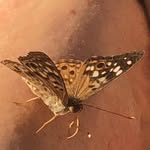 Mary Tuttle - @marytuttle - Instagram