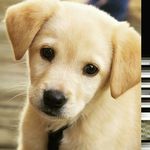 Lexi Mary June Tweedy - @lexi_mary_june_tweedy - Instagram