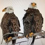 Mary Tweedy - Facebook